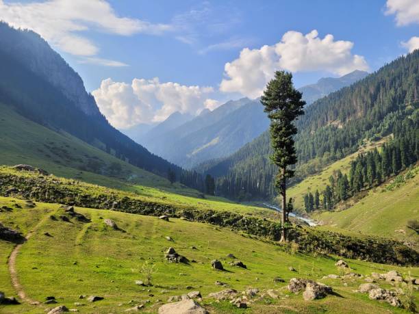 Kashmir