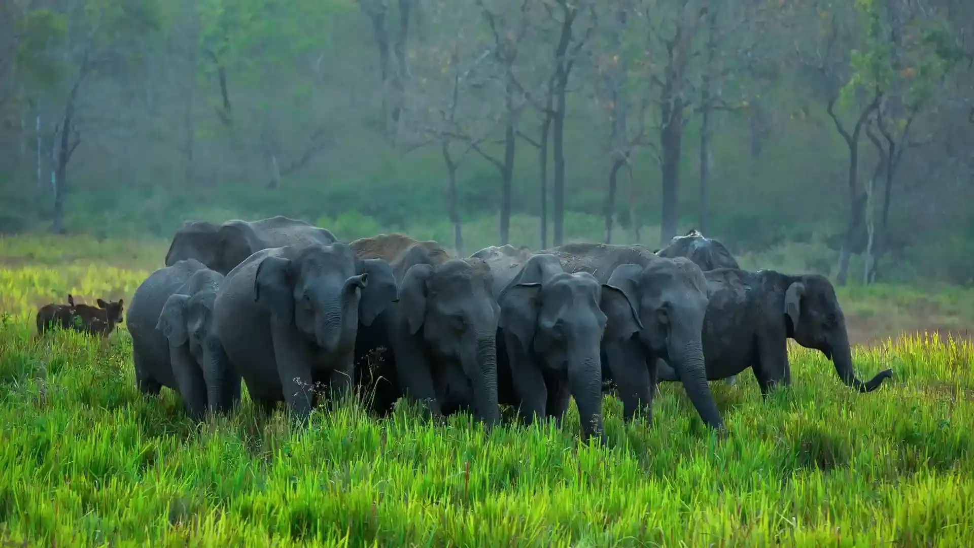 Kerala