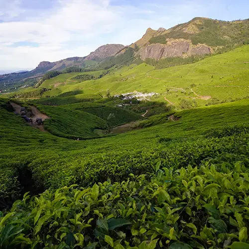 Kerala