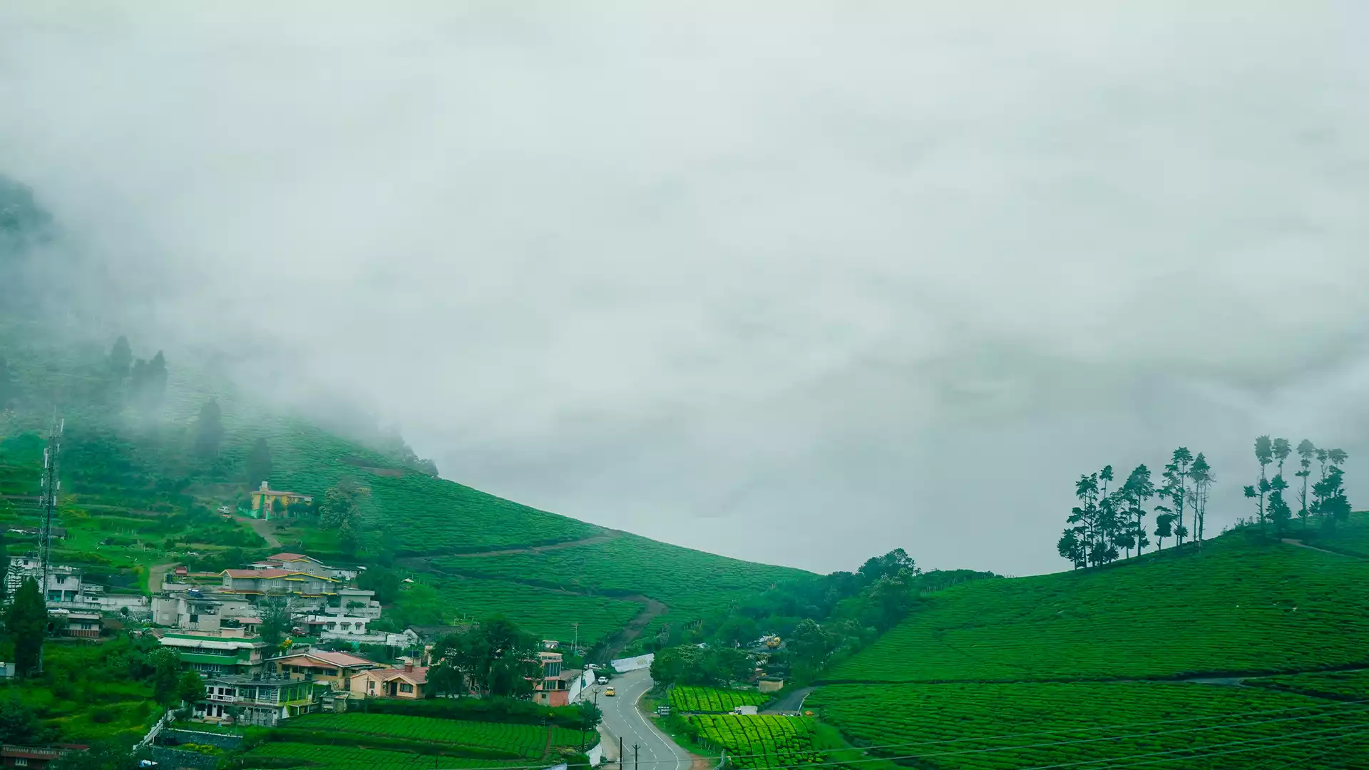 Tamil Nadu